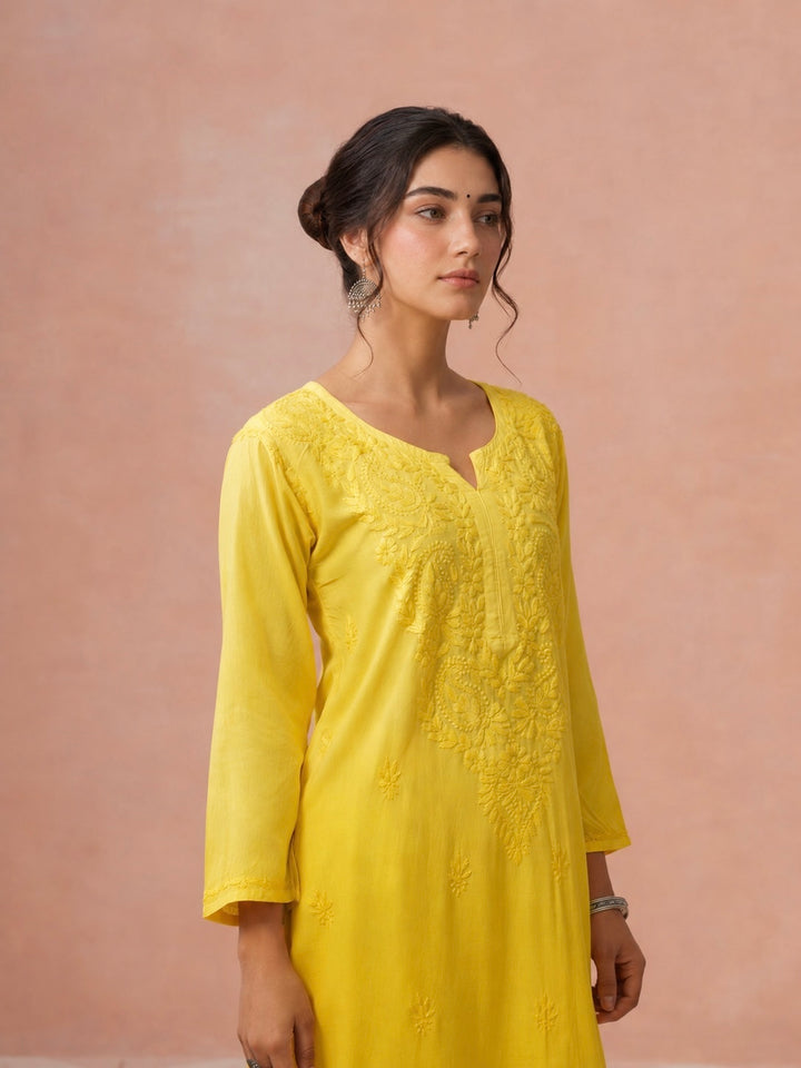 Arzoo Chikankari Ombre Rayon Co-ord Set